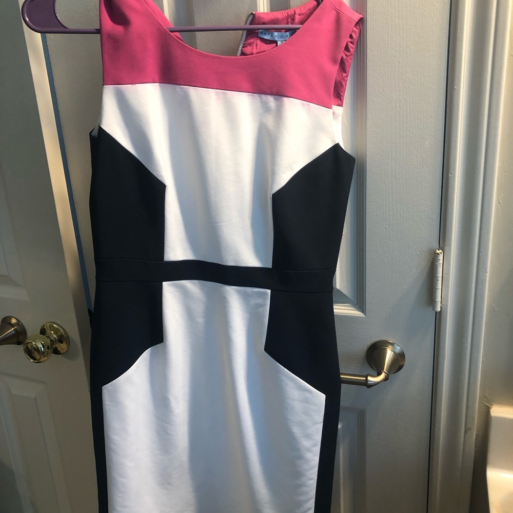 Knee length Antonio Melani color block dress.  Size 4